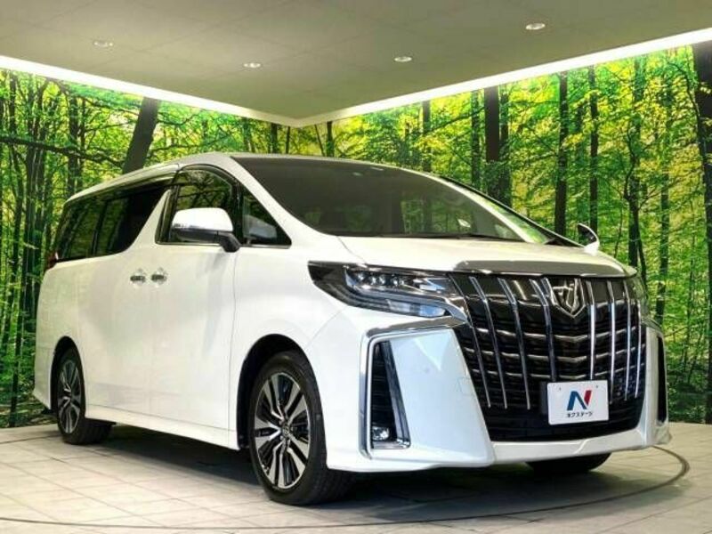 ALPHARD-15