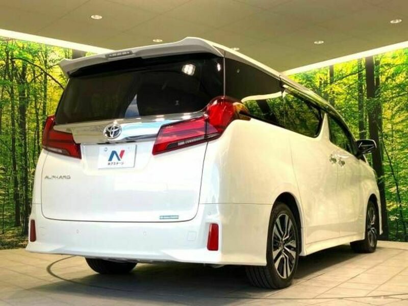 ALPHARD-16