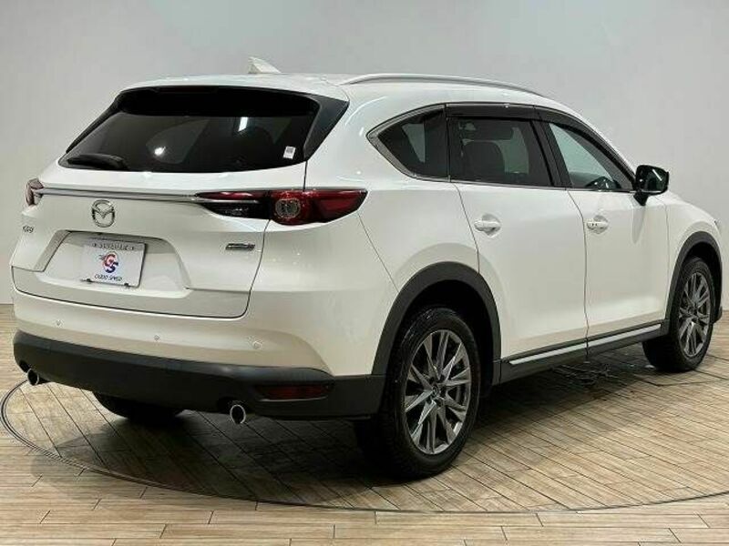 CX-8-13