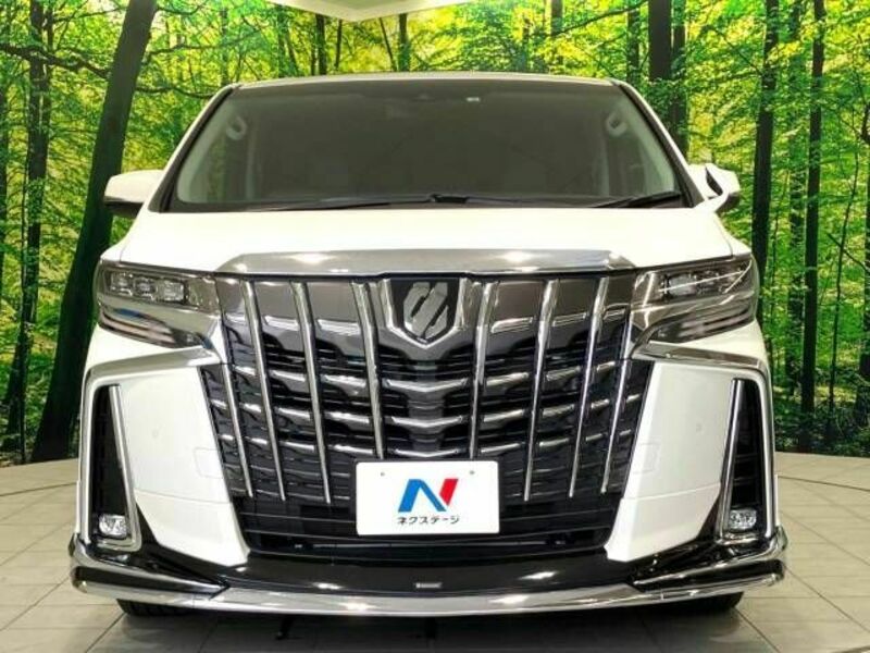 ALPHARD-14