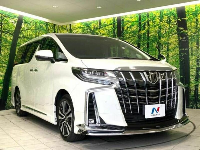 ALPHARD-16