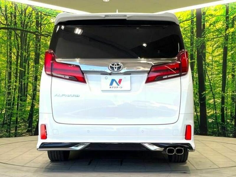 ALPHARD-16