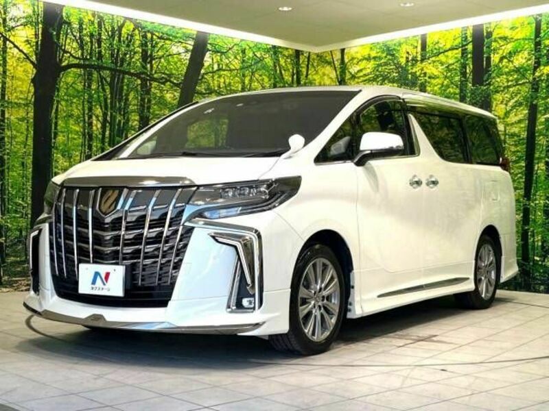 ALPHARD-17