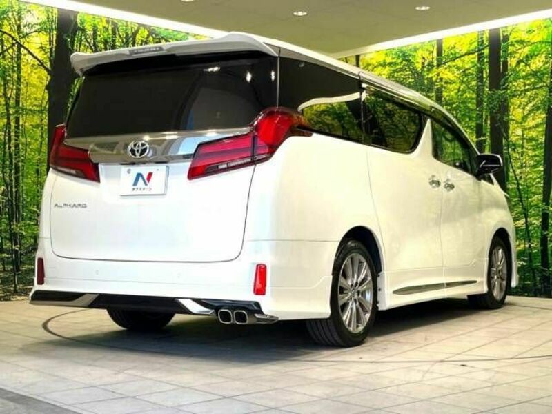 ALPHARD-18