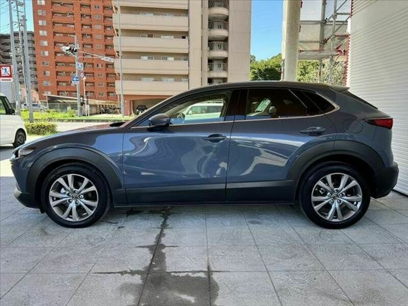 CX-30-10