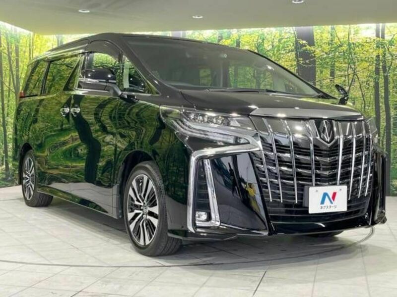 ALPHARD-17