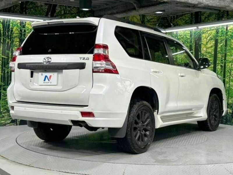 LAND CRUISER PRADO-19