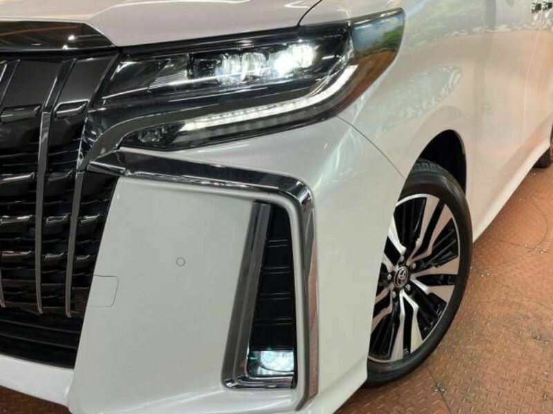 ALPHARD-15