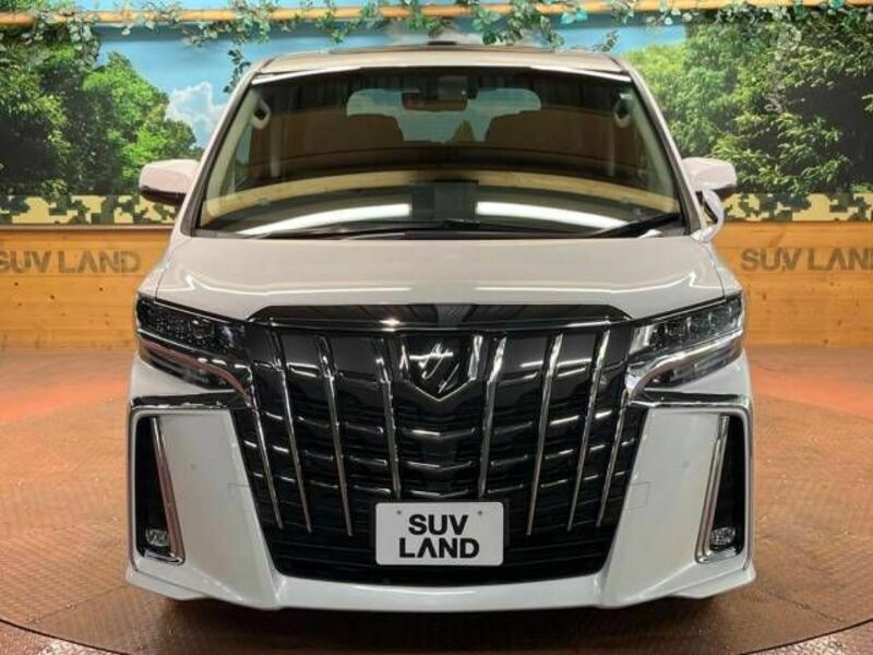 ALPHARD-17