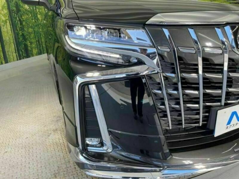 ALPHARD-13