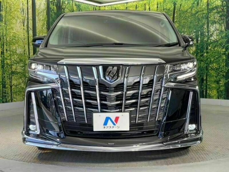 ALPHARD-15