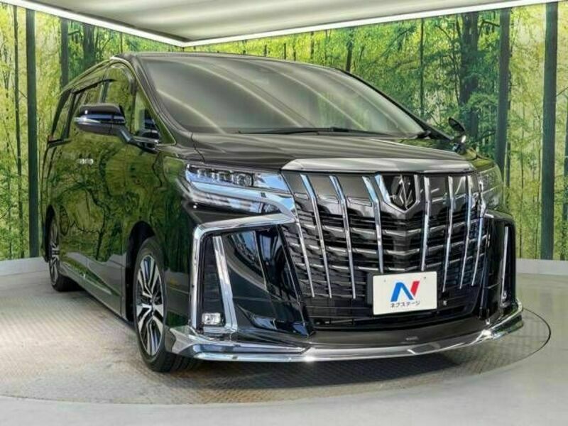 ALPHARD-17