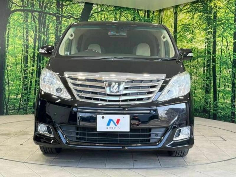 ALPHARD-15