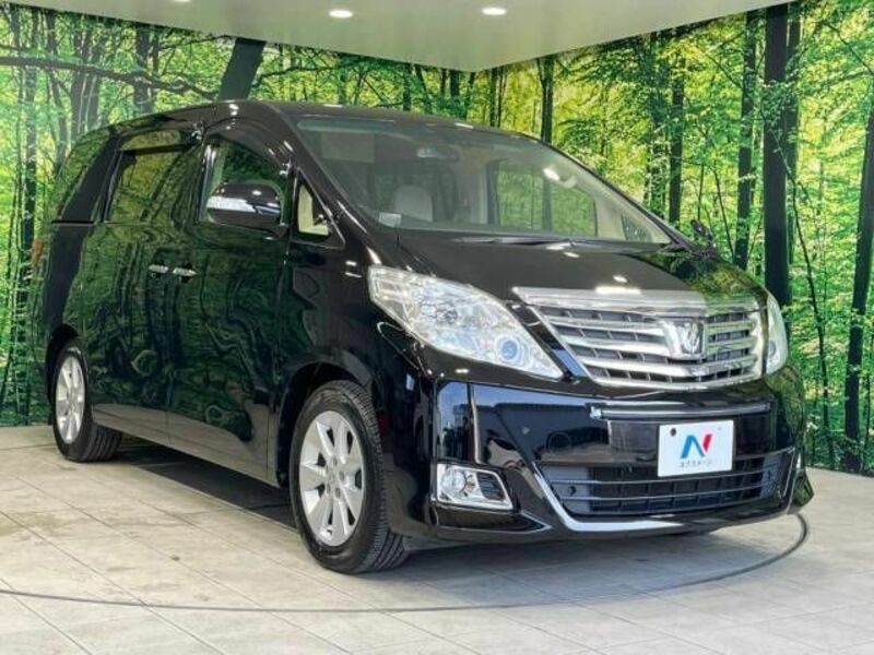 ALPHARD-17