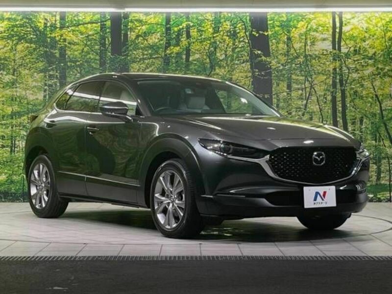 CX-30-16