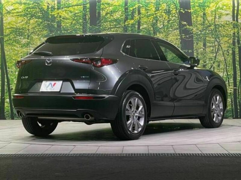 CX-30-17