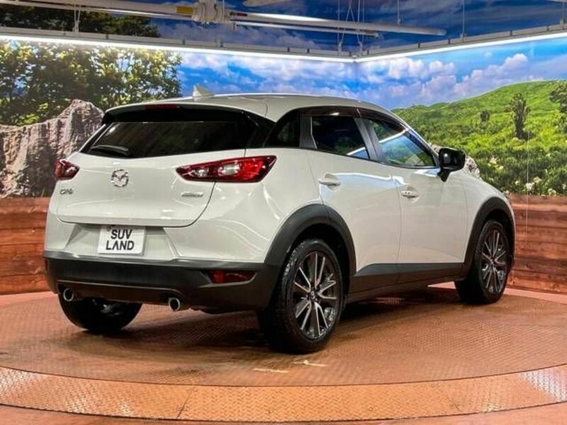 CX-3-17