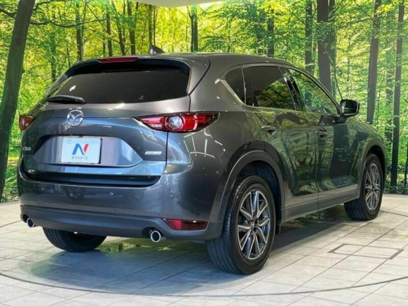 CX-5-17