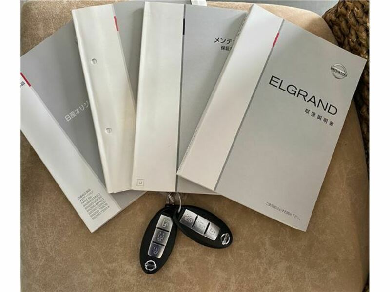 ELGRAND-49