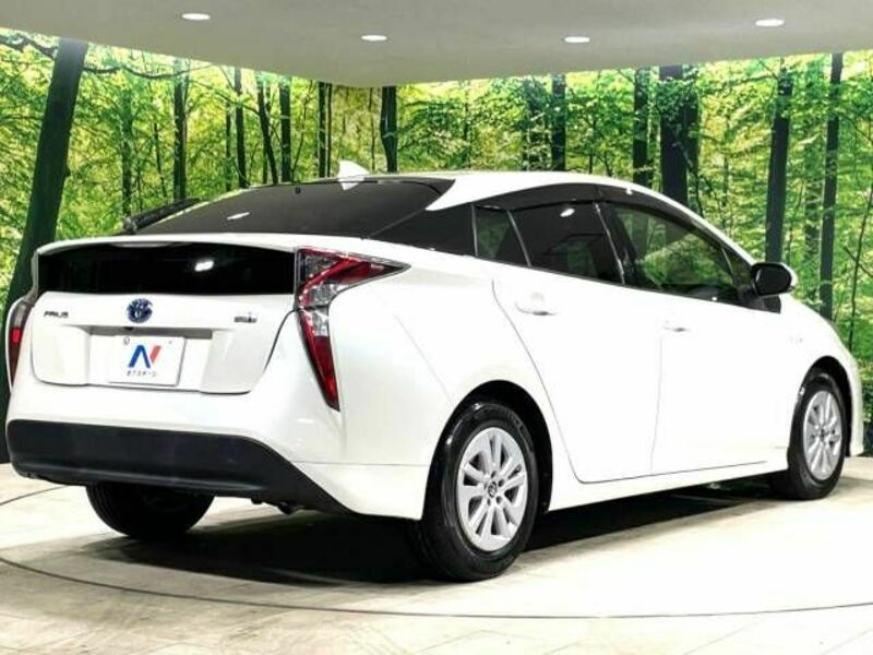 PRIUS-17