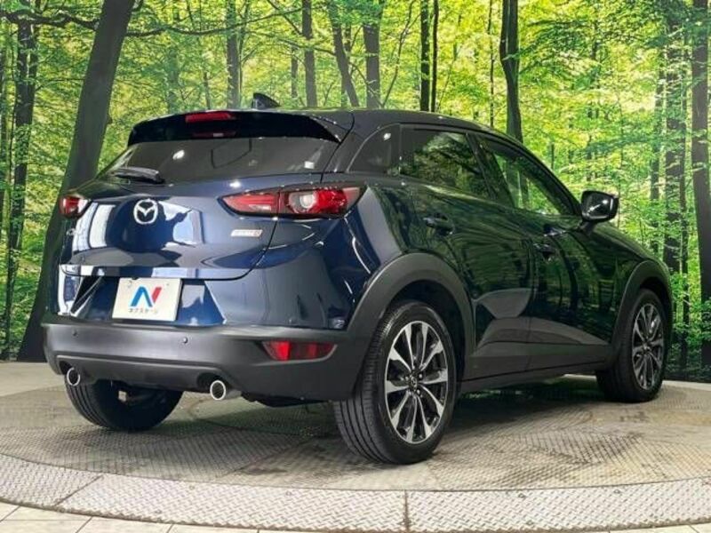 CX-3-17