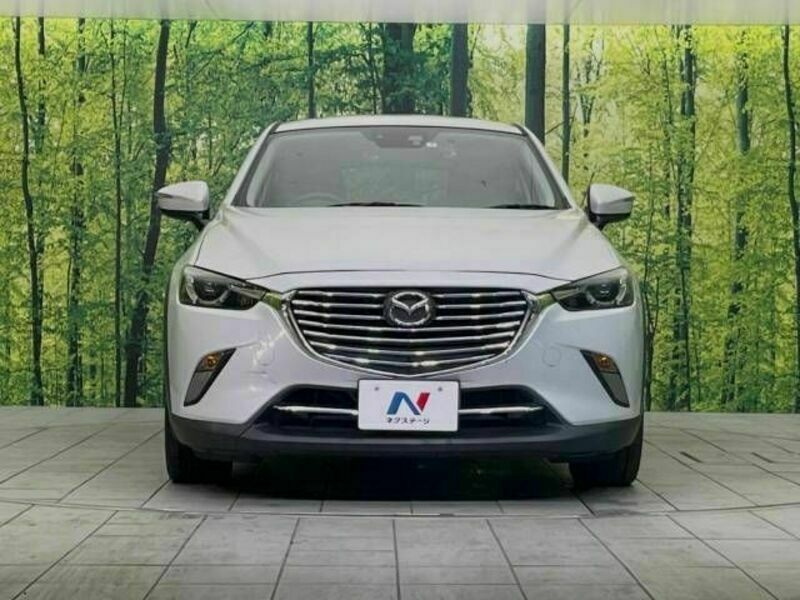 CX-3-13