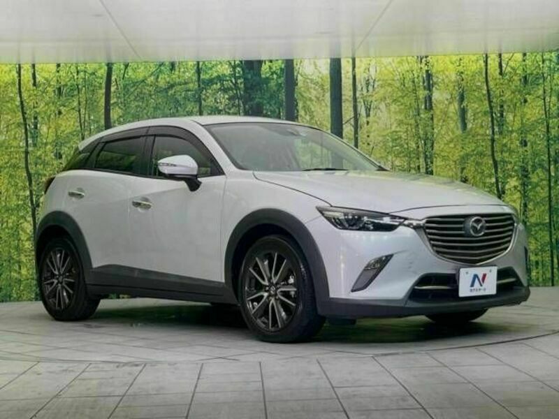 CX-3-15