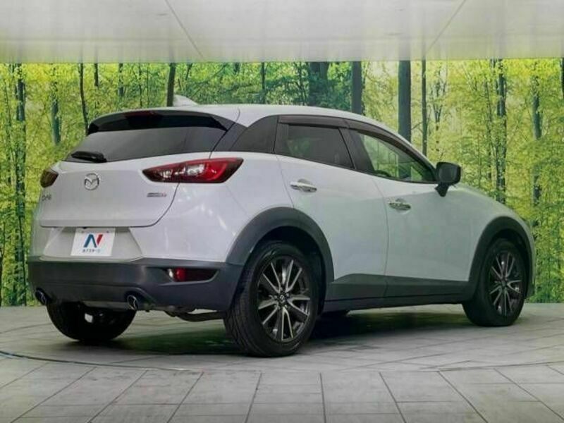 CX-3-16