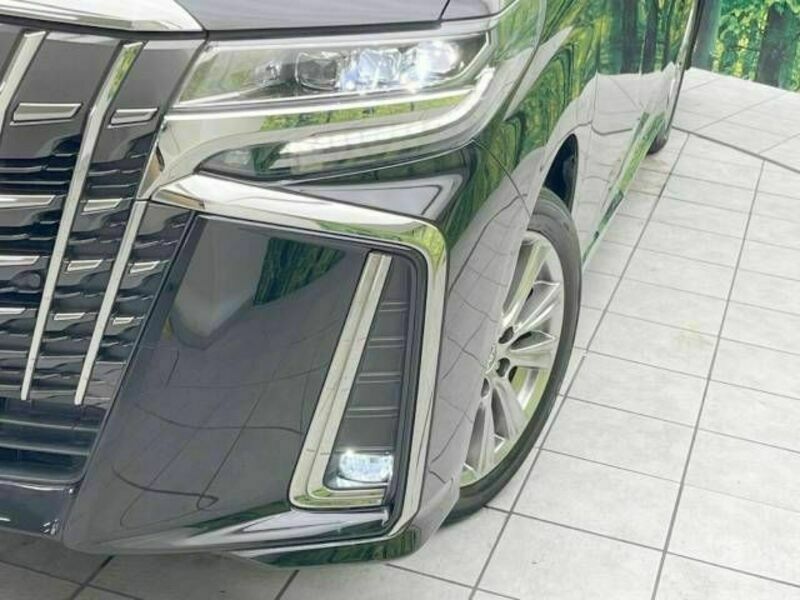 ALPHARD-12