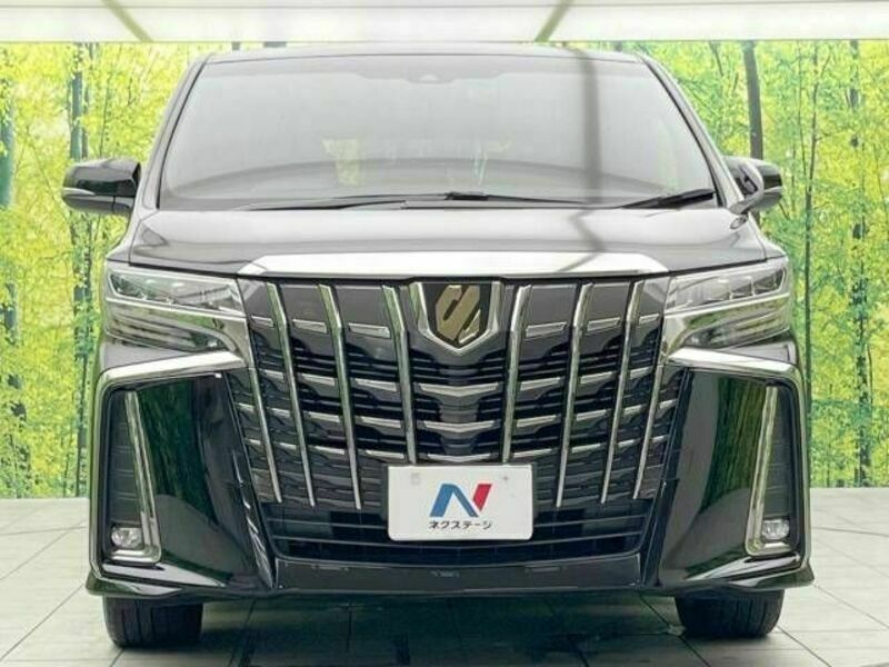 ALPHARD-14