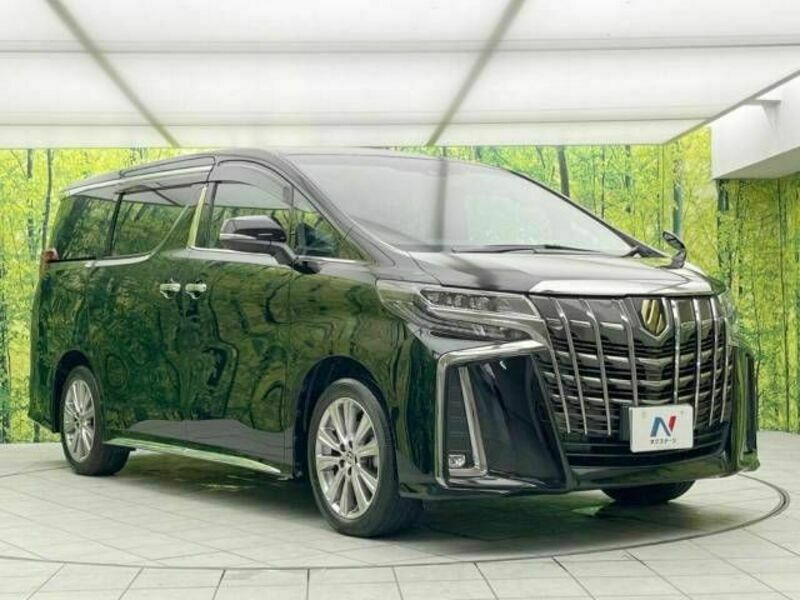 ALPHARD-16