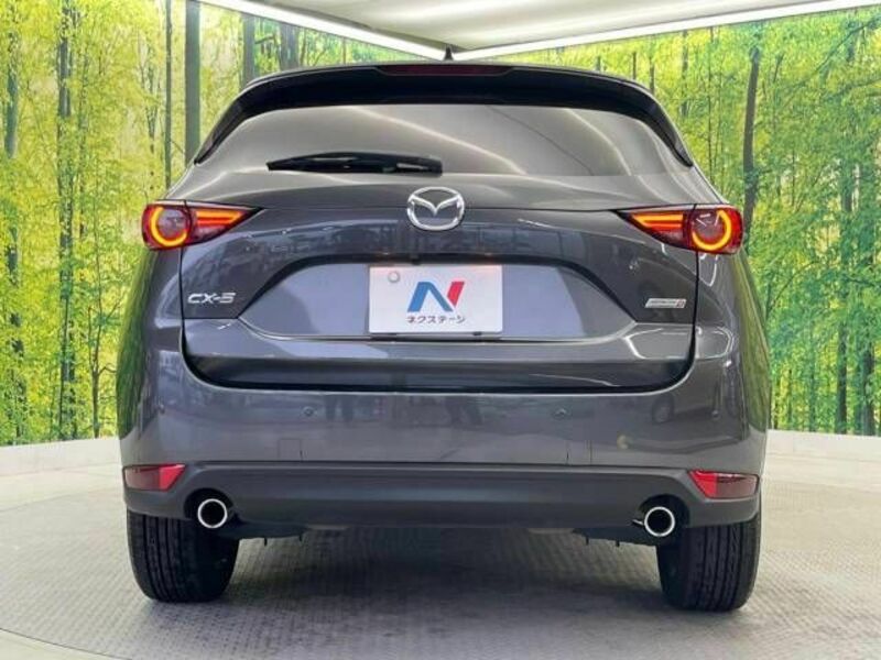 CX-5-15