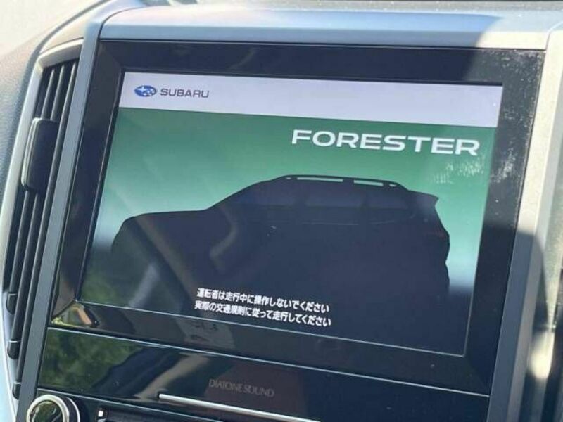 FORESTER-9