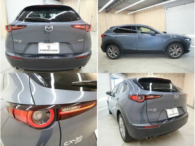 CX-30-21