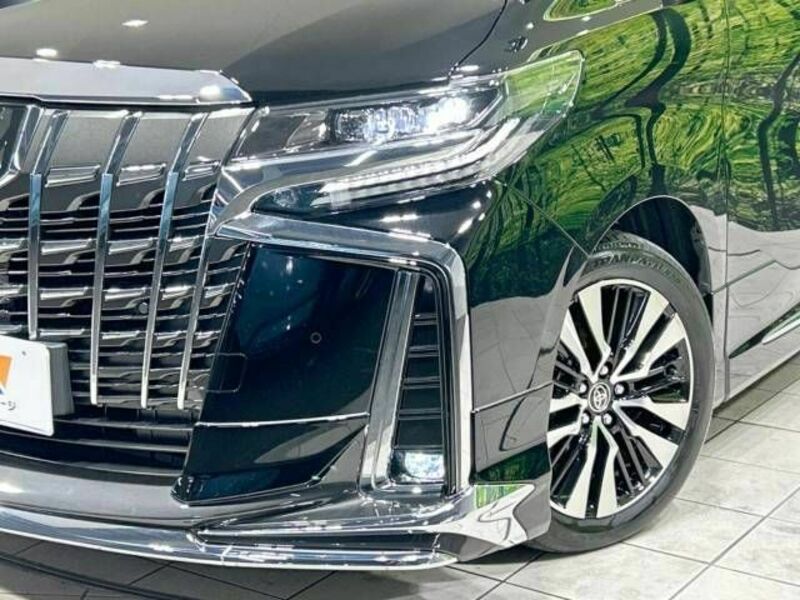 ALPHARD-13