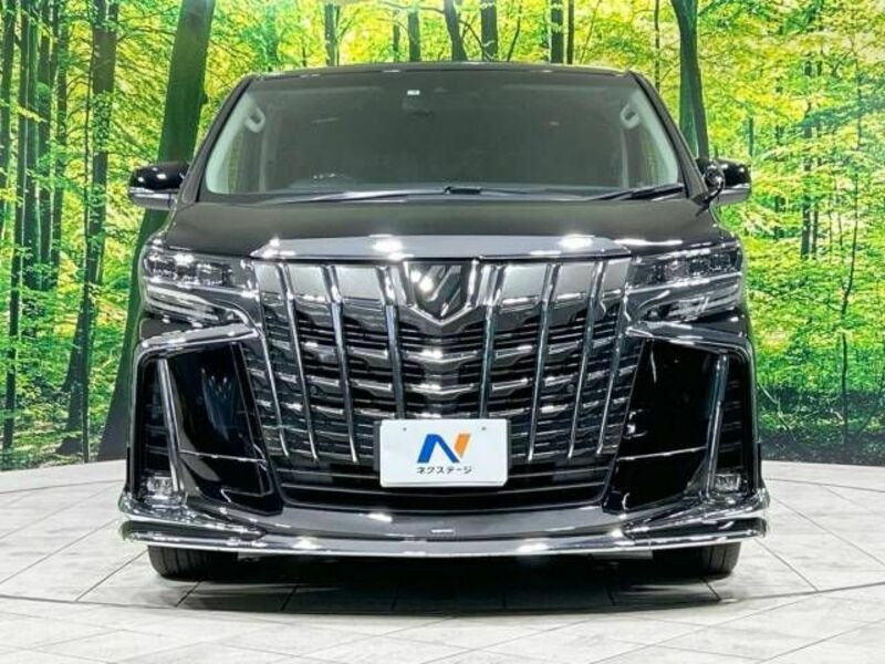 ALPHARD-15