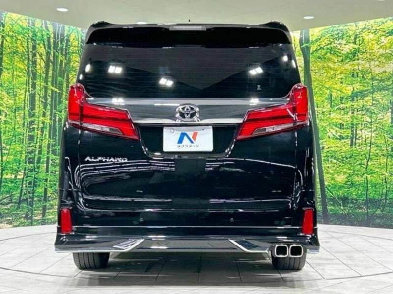 ALPHARD-16