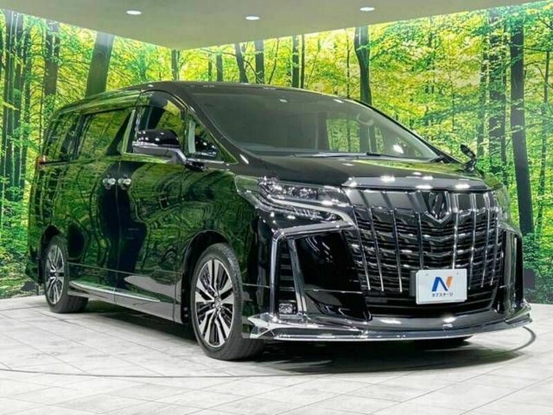 ALPHARD-17