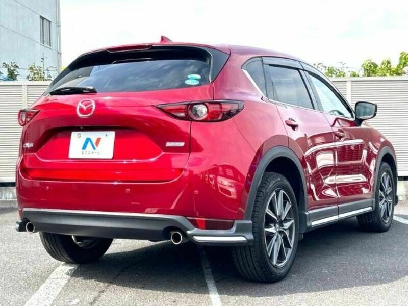 CX-5-19