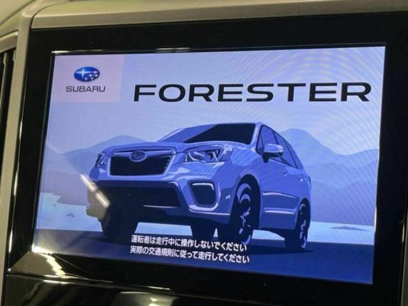 FORESTER-2