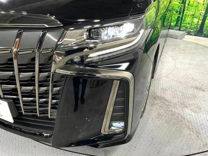 ALPHARD-13