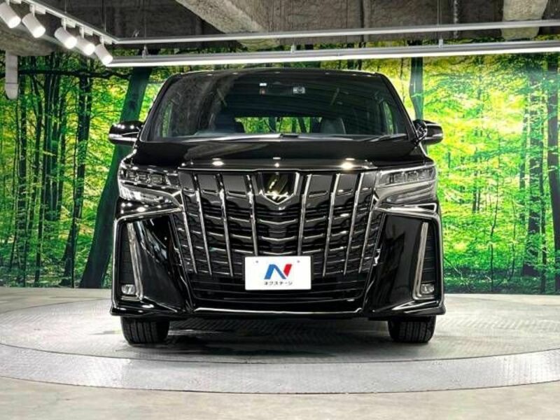 ALPHARD-15