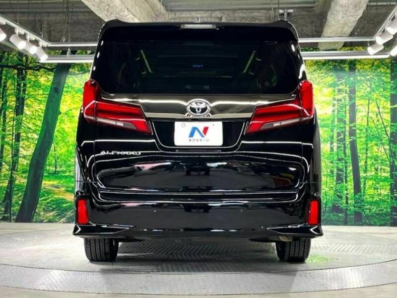 ALPHARD-16