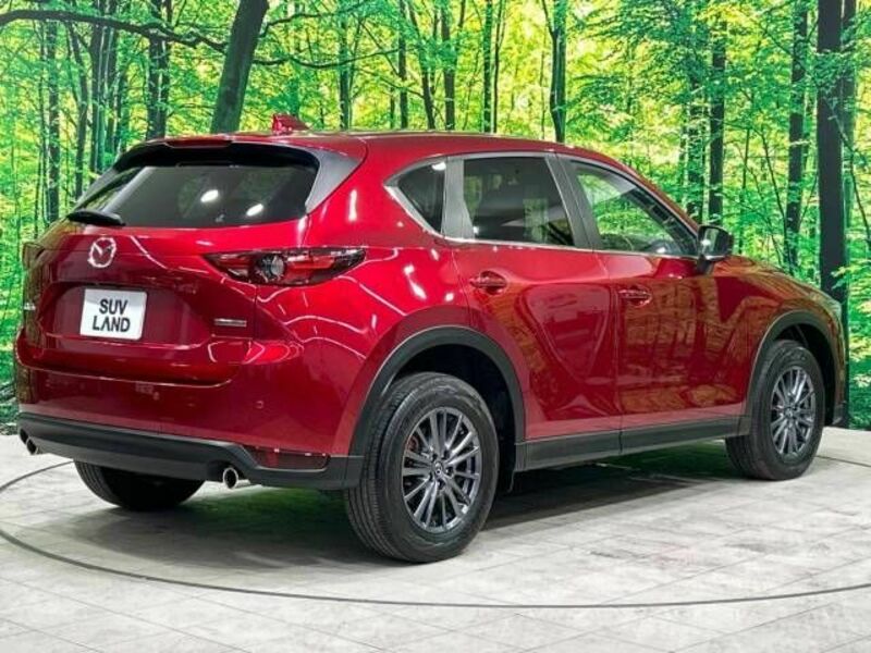 CX-5-17