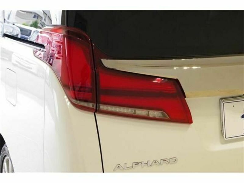 ALPHARD-29