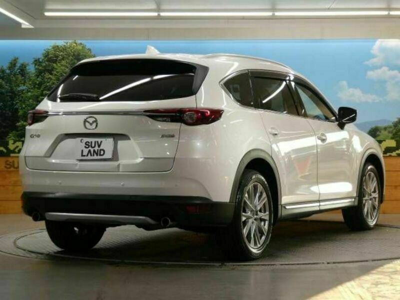 CX-8-15