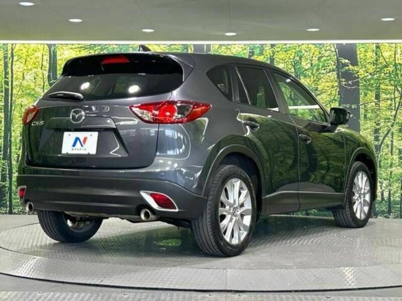 CX-5-17