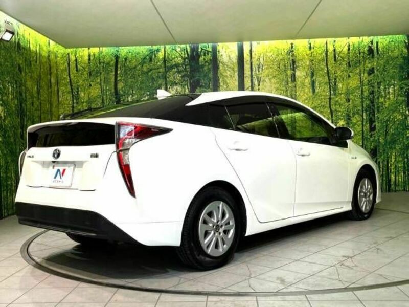 PRIUS-17