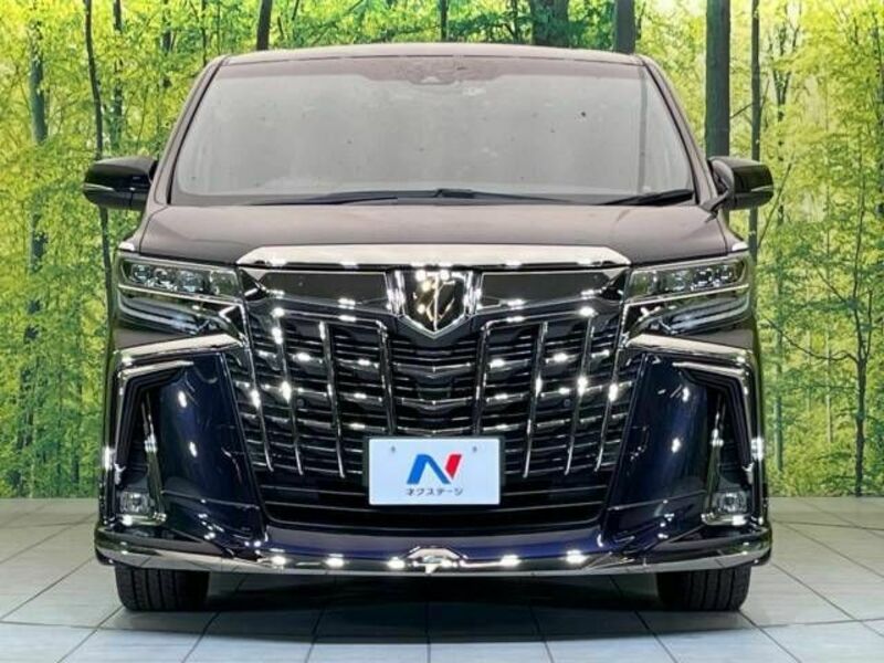 ALPHARD-16