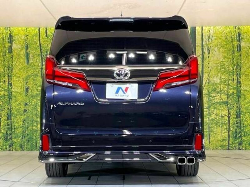 ALPHARD-17